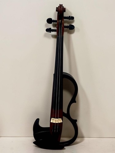 Violon électrique - 🎻,
