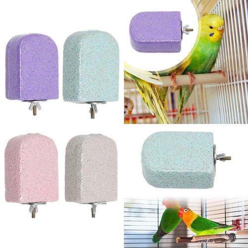 Perroquet dents calcium - de,