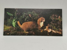 Nestlé MERVEILLES DU MONDE