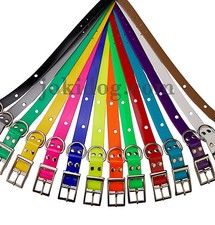 Collier de rechange garmin DC40