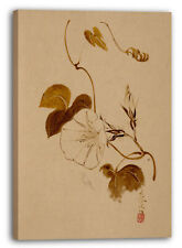 Toile/Cadres Shibata Zeshin - Morning Glory