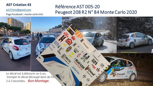 New decal peugeot 208 - decal, 43