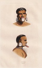 Aimoré Botocudo Brésil Costume Trachten Bois Découpe 1840