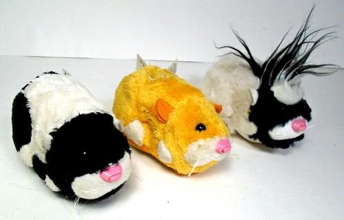 Lot zhu pets - zhu,