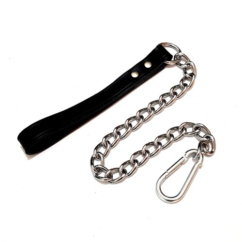 Laisse pour chien - laisse, en