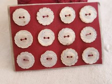 Rare petite plaque boutons anciens en nacre  1,2 cm  lot de 12 n°3L