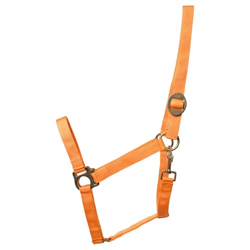 Eldorado licol standard - standard,