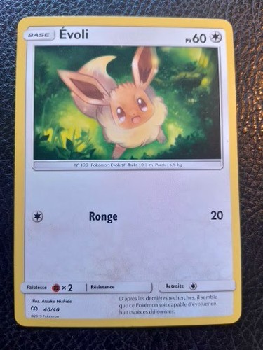 Carte pokémon évoli - pokémon, 40/40