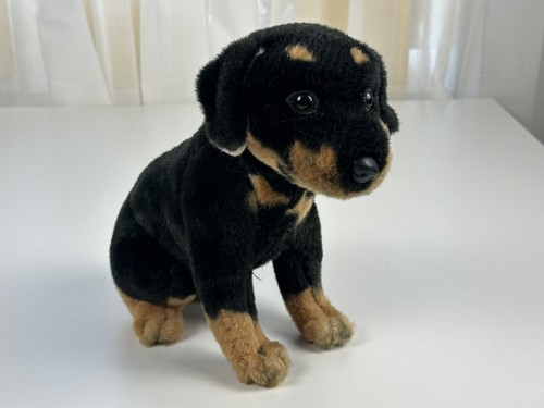 Animal collection - animal,