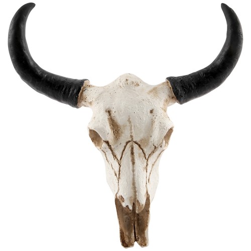 Résine vache tête crâne - vache,