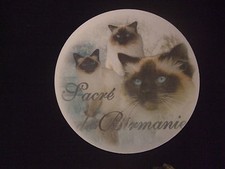 Tapis de souris - MOTIF - CHAT SACRE DE BIRMANIE