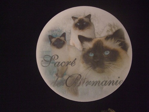 Tapis souris motif chat - de,