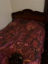 lit adulte et Chevet Chêne Macif