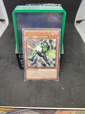 Inzektor Sauterelle Rare