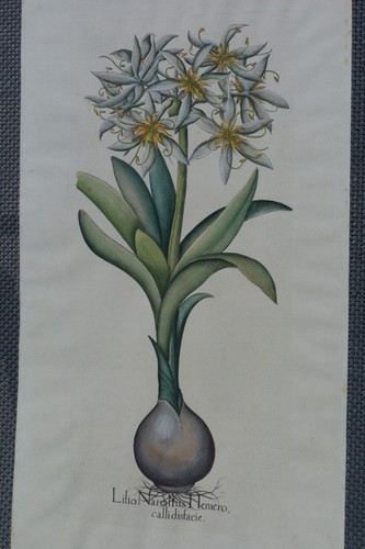 Lithographies aquarellées