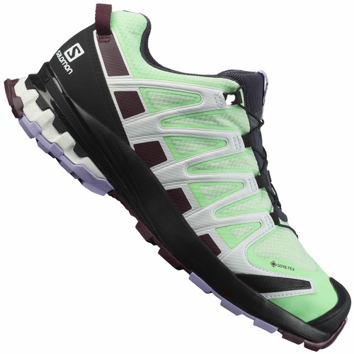 Salomon pro v8 gtx - xa,