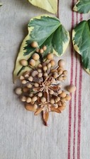 Ancien petit bouquet mariee - petit,