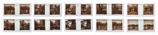 Lot plaques verre c1900 - plaques,