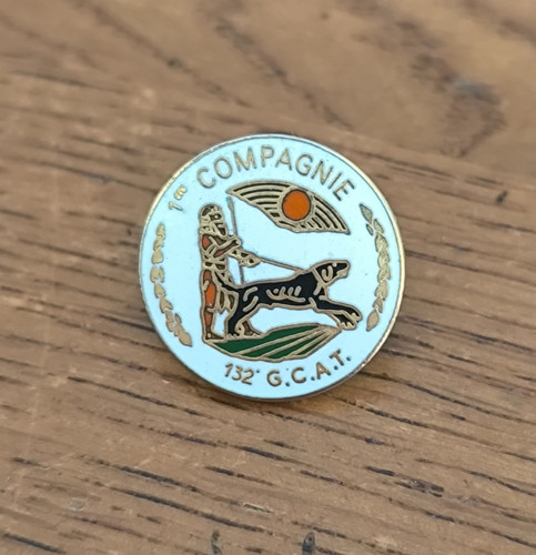 Insigne pin 132 gcat - insigne,