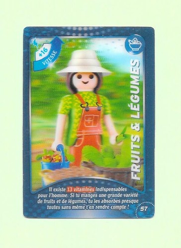 Carte playmobil 2021 - carte,