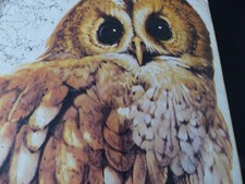 Guide des oiseaux Sélection