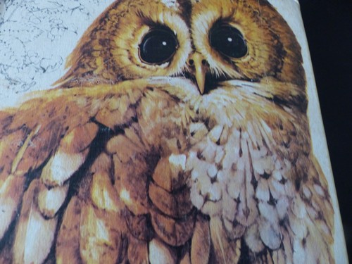 Guide des oiseaux - , sélection