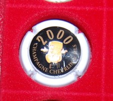 1 Plaque de muselet de