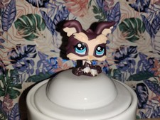 littlest petshop, Yorshire
