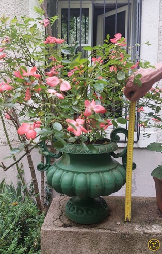 Vasques jardinières en - vasques/jardiniÈres,