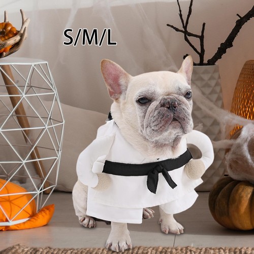 Déguisement pour chien - pour,