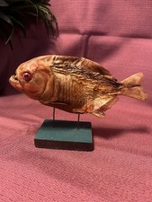 Cabinet curiosité piranha - de,