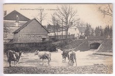 CPA   SAINT AMAND EN PUISAYE 58 -  L'ABREUVOIR VACHE COW BORD RIVIERE  1910 ~C07