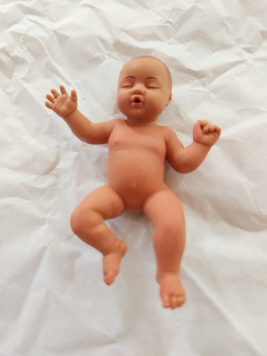 Vintage miniature anatomical - vintage,