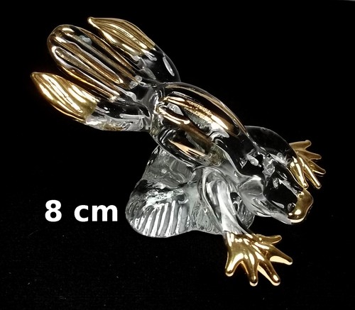 Magnifique ornithorynque - ornithorynque, en