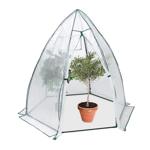 Serre hivernage plantes - serre,