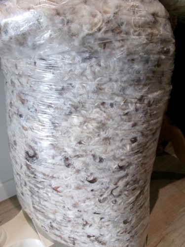 Rembourrage plumes duvet de - et,