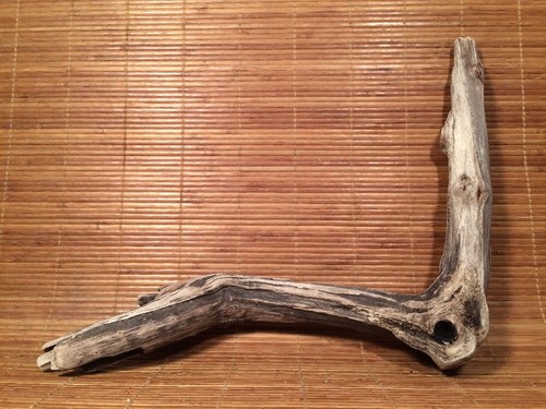 Beautiful driftwood art - beautiful,