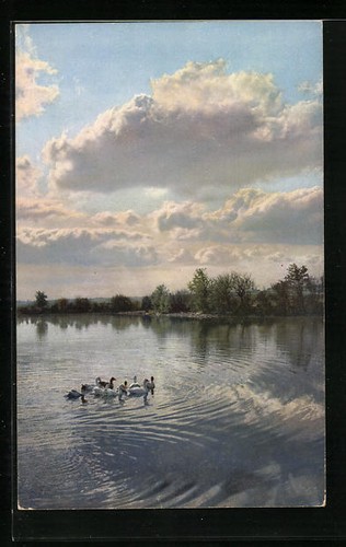 Carte postale artiste - carte, d'artiste
