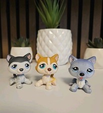 ✨️lot Littlest Pet Shop