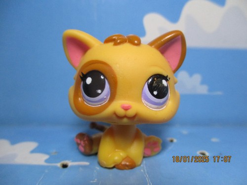 Petshop chaton 2414 - n°2414,