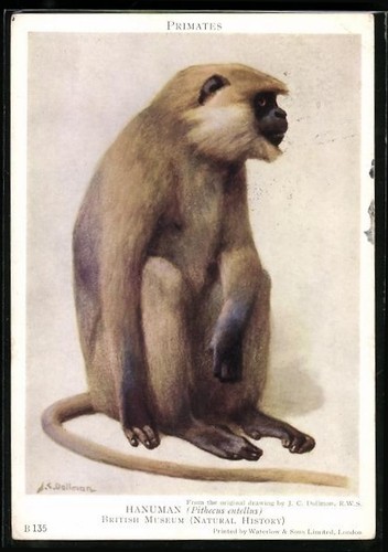 Carte postale artiste - postale, d'artiste