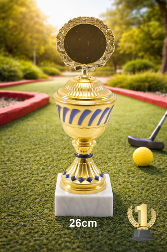 Offre spéciale trophée cm - 26,