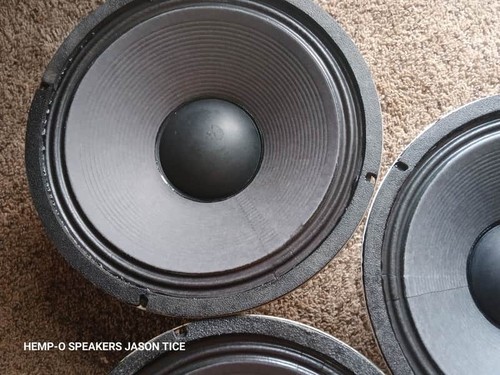 Celestion g12k 100 - g12k-100, rodded