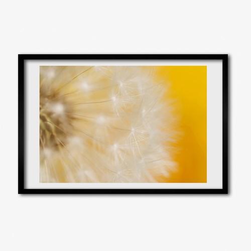Tulup photo 60x40cm cadre - photo,