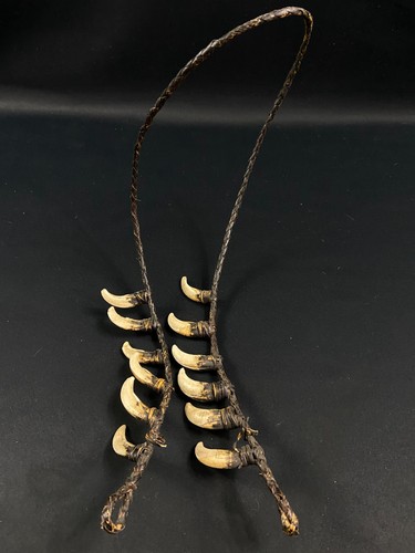 Collier tribal dents - , cochon