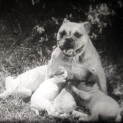 Film nos amis - 16, amis,