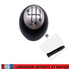 POMMEAU DE LEVIER 6 VITESSE