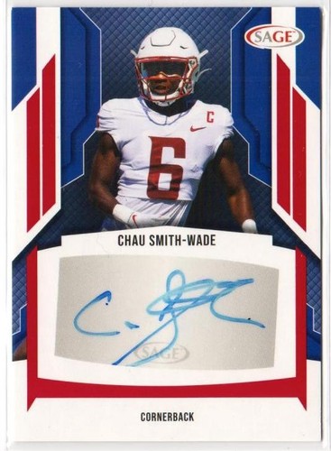 2024 sage hit high - sage,
