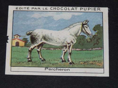Chromo chocolat pupier 1930 - chromo,