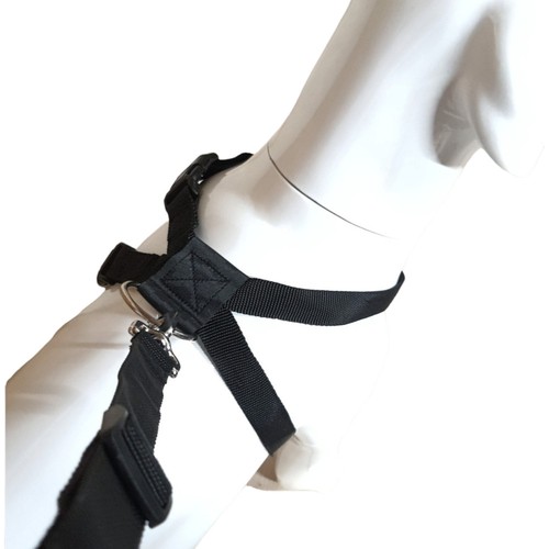 Harnais sécurité taille - harnais,